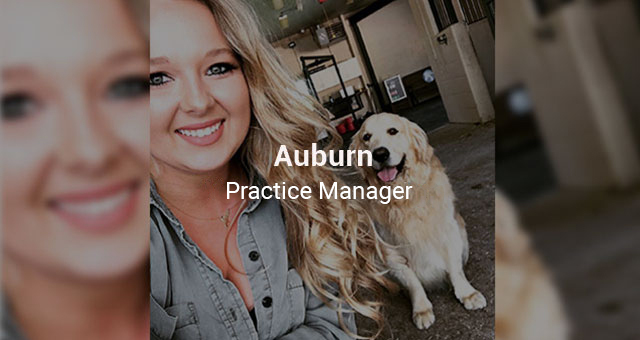 Auburn